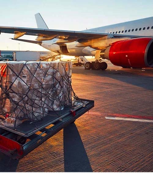 Quick Link Cargo Services Team at Work