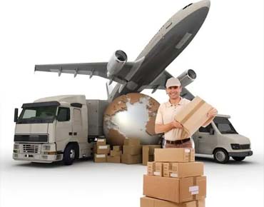 Express Courier Service